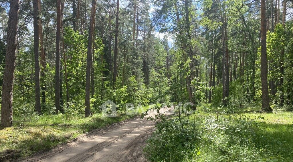 дом р-н Камешковский д Лубенкино Пенкинское муниципальное образование фото 38