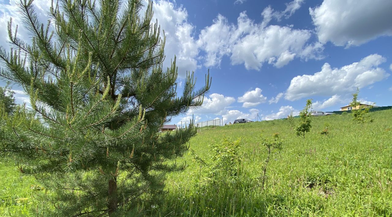 земля р-н Богородский д Шумилово Видное жилой квартал фото 8