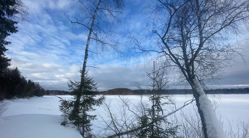 дом городской округ Истра д Родионцево 32 фото 34