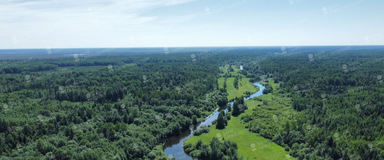 офис р-н Гатчинский д Нестерково Вырицкое городское поселение фото 1