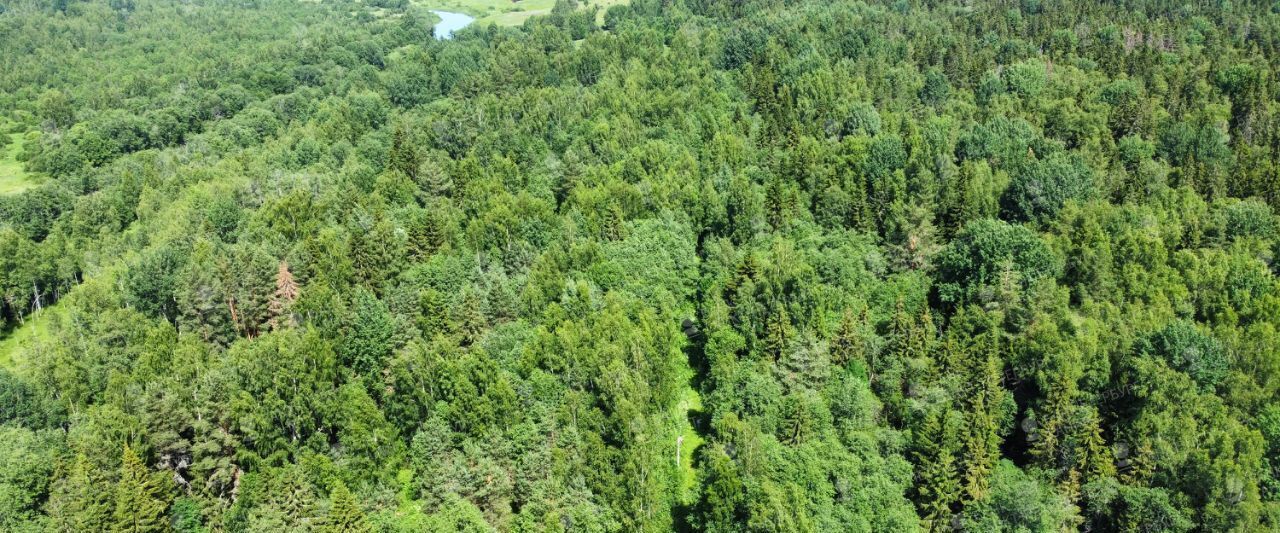 офис р-н Гатчинский д Нестерково Вырицкое городское поселение фото 3