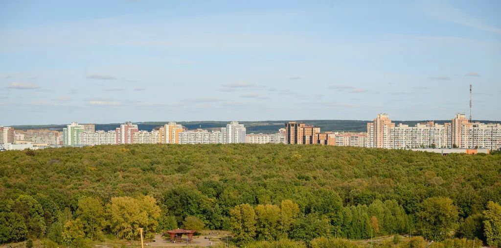 квартира г Казань метро Горки р-н Советский пр-д Созидателей 9 фото 29