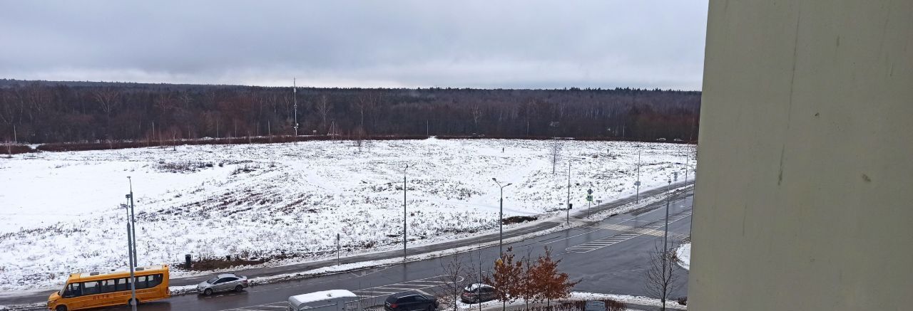 квартира г Москва п Десеновское метро Ольховая фото 20