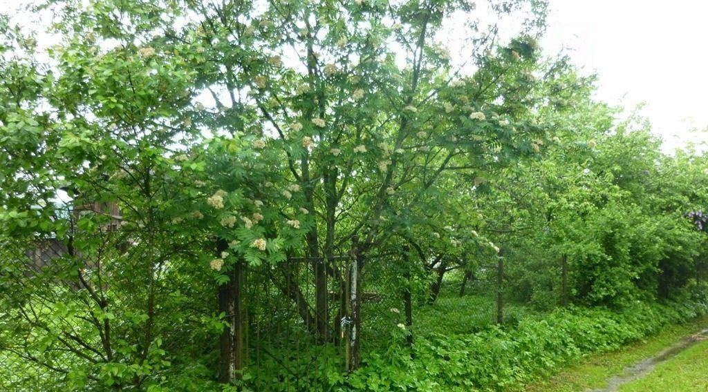 дом р-н Гатчинский Сиверский городской поселок, просп. Героев фото 8