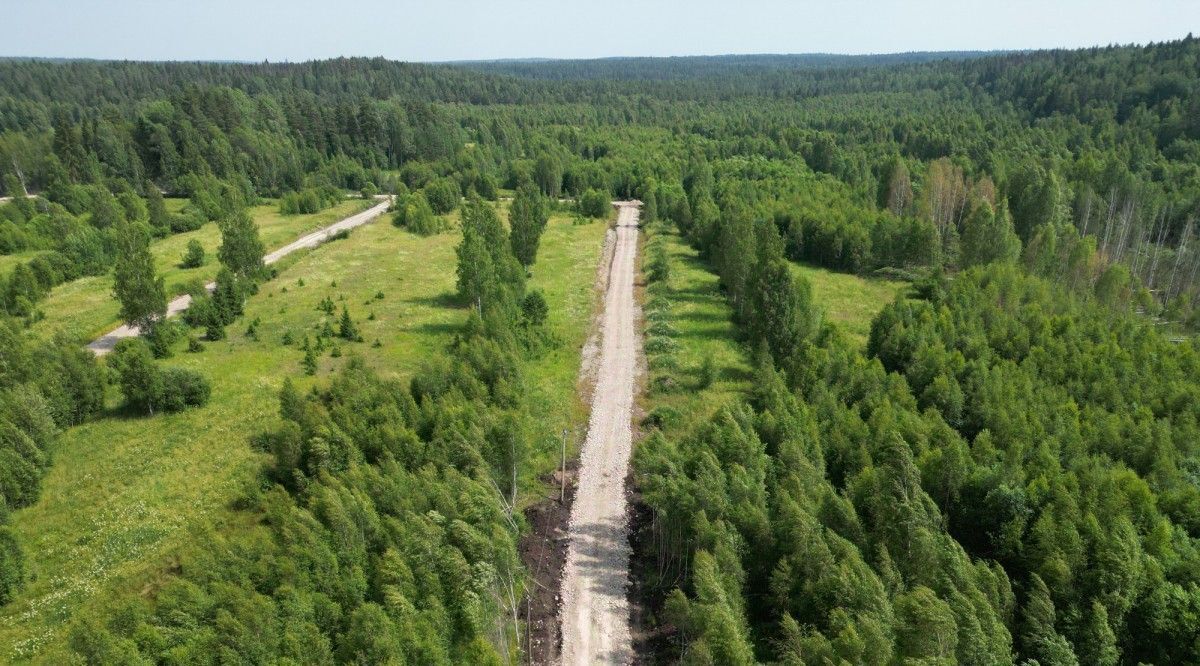 земля р-н Приозерский Раздольевское с/пос, Мичурино Парк кп фото 6