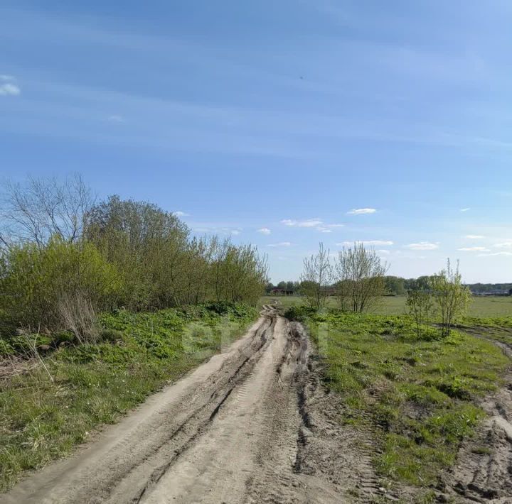 земля р-н Ярославский д Кузнечиха Кузнечихинское с/пос, Кузнечихинский сельский округ фото 8