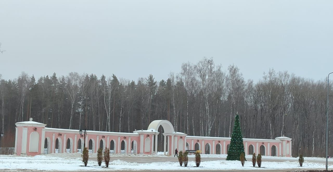 квартира г Калуга р-н Ленинский ул 65 лет Победы 27к/1 фото 16