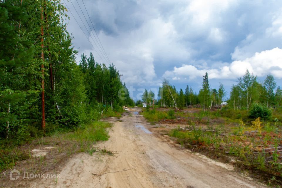 земля р-н Сургутский снт Брусничка ул 5 205 фото 3