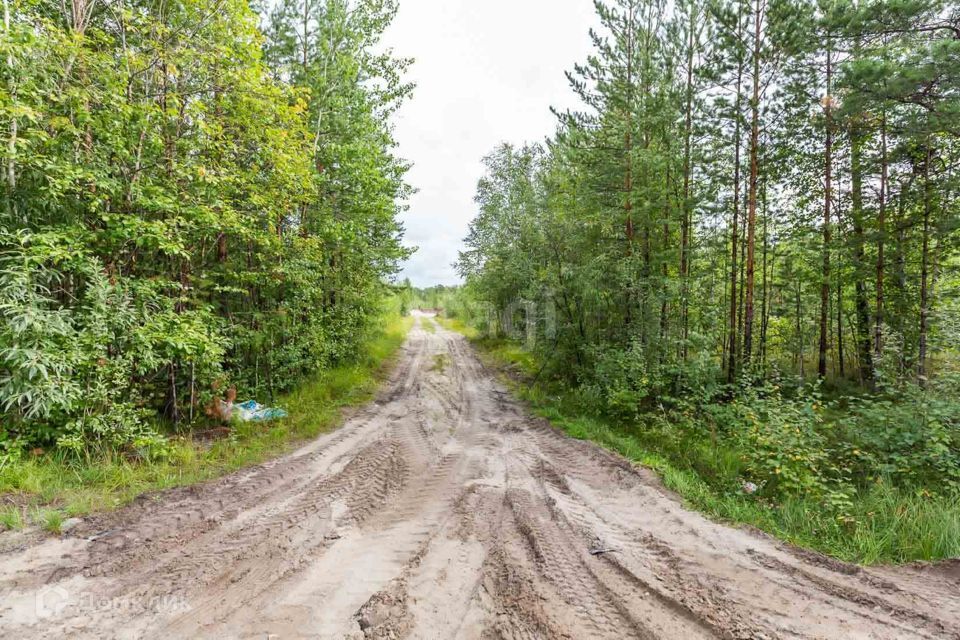 земля Сургут городской округ, Ханты-Мансийский автономный округ — Югра, СТ 46 Урожай фото 3