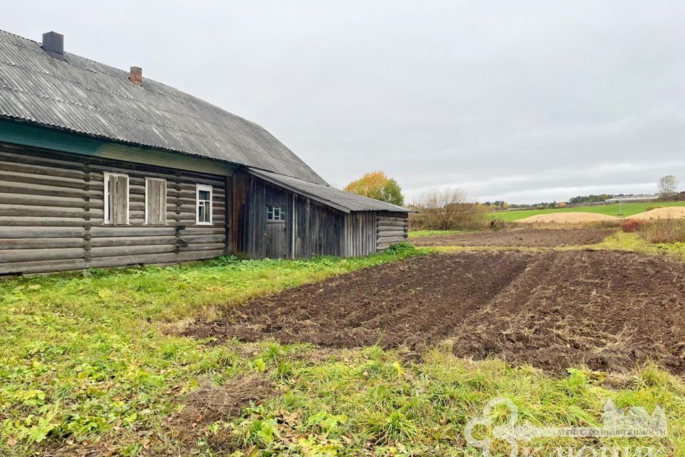 дом р-н Вельский деревня Шелюбинская фото 5