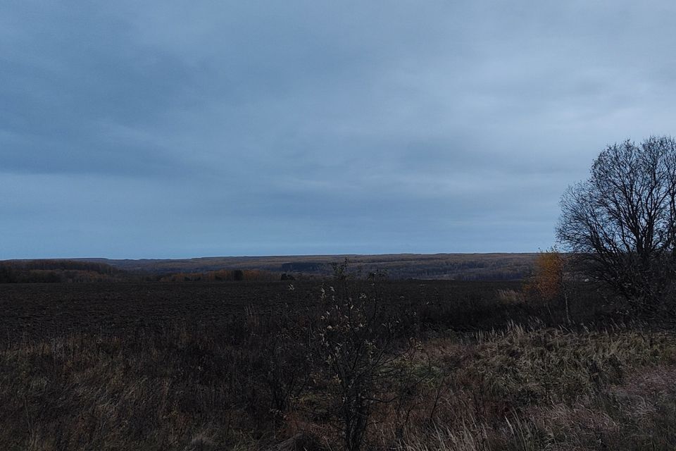 земля р-н Заокский фото 4