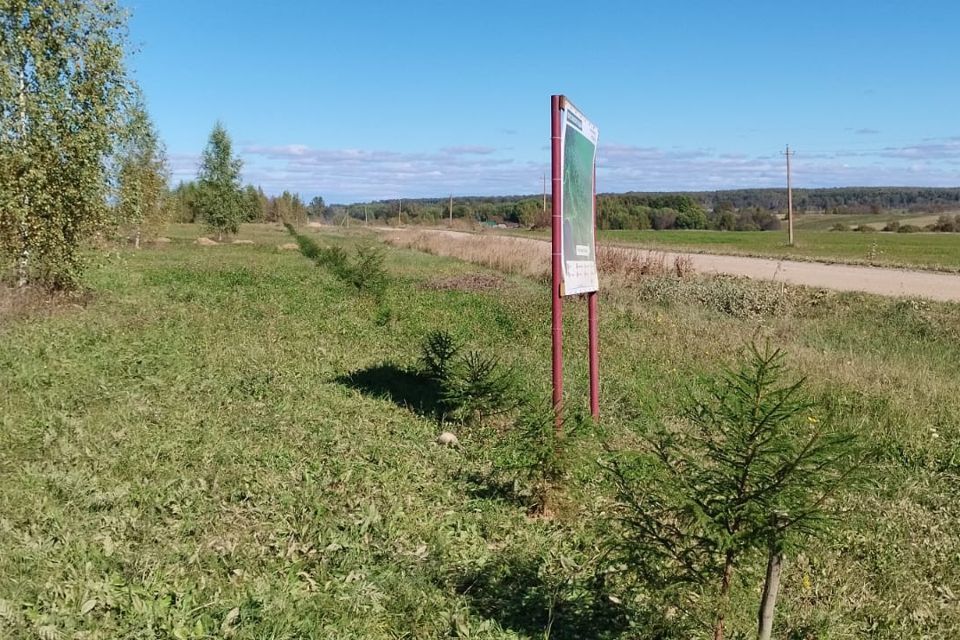 земля Переславль-Залесский городской округ, Переславль-Залесский фото 3