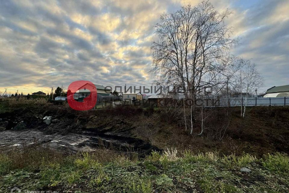 земля р-н Тюменский с. Луговое фото 6