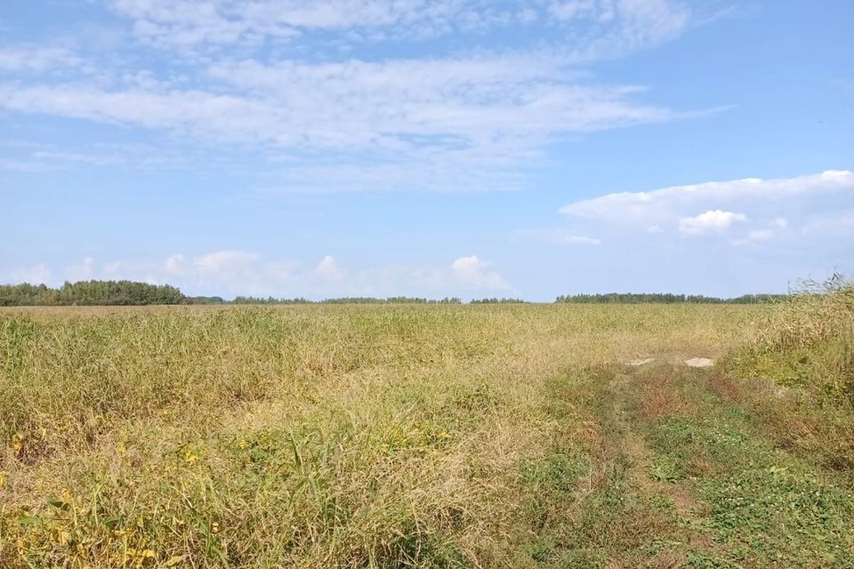 земля р-н Хабаровский с Галкино ул Мира 14 Галкинское сельское поселение фото 6