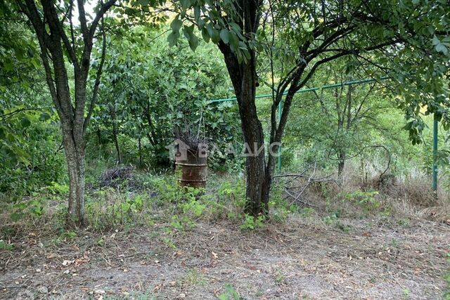 х Широкая Щель Геленджик городской округ, улица Волчья падь фото