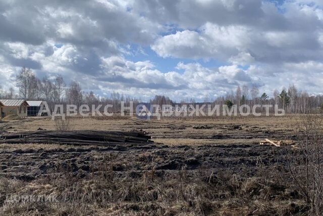 Тюмень городской округ, СО Царёво фото