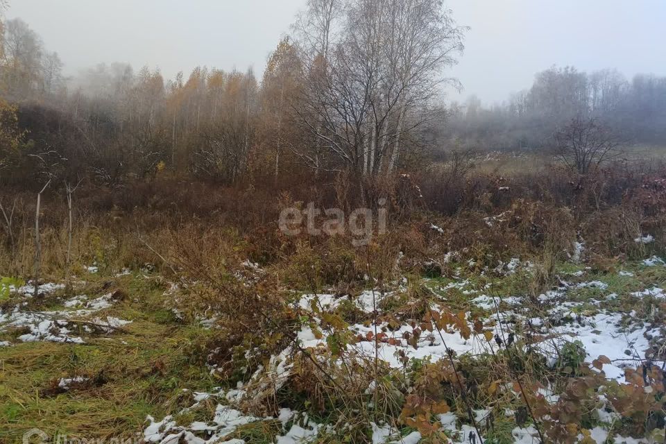 земля г Горно-Алтайск Горно-Алтайск городской округ, СТ Транспортник фото 4