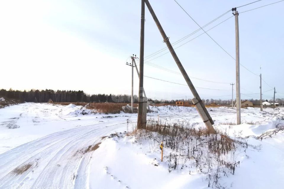 земля р-н Тюменский с. Каменка фото 9