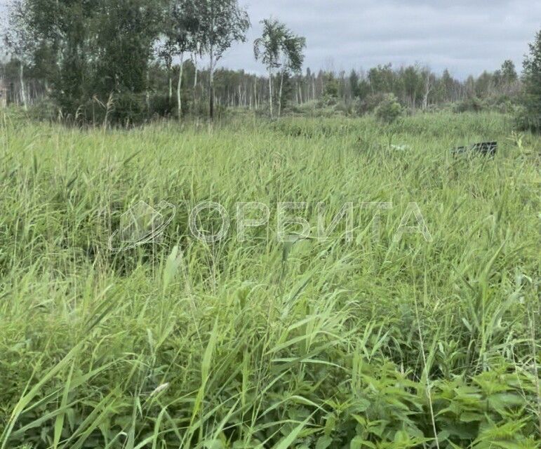 земля г Тюмень Тюмень городской округ, СНТ Облепиховое фото 3