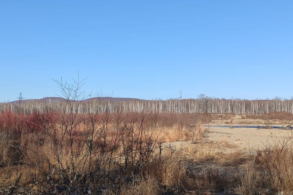 земля Комсомольск-на-Амуре городской округ, Чкалова, Сосновый переулок фото 3