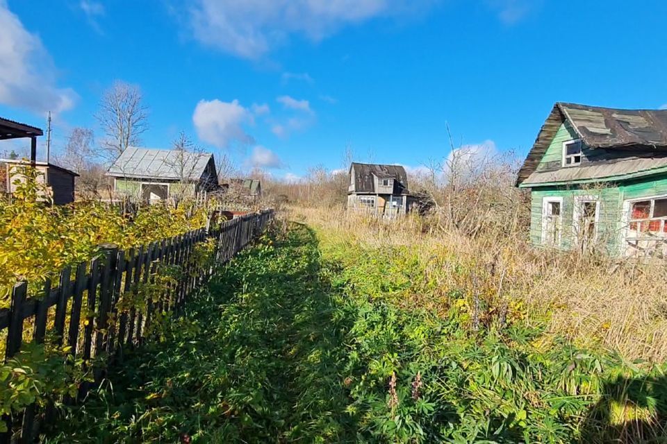 земля р-н Новгородский ДТ Факел фото 7