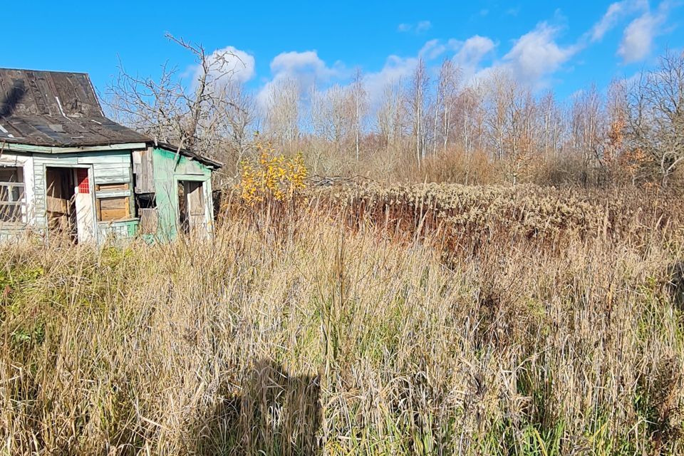 земля р-н Новгородский ДТ Факел фото 5