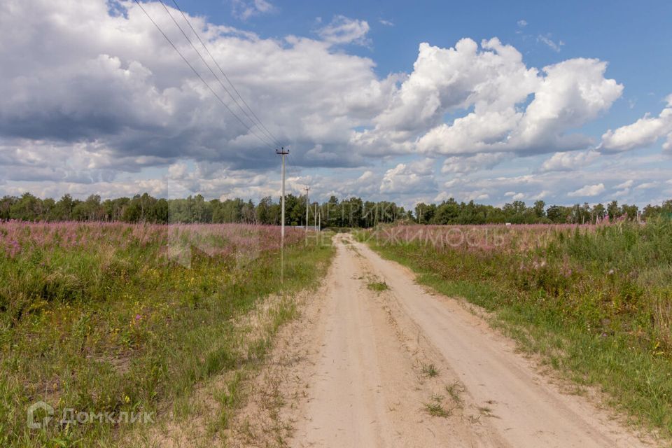 земля р-н Тюменский ДНТ Янтарное фото 6