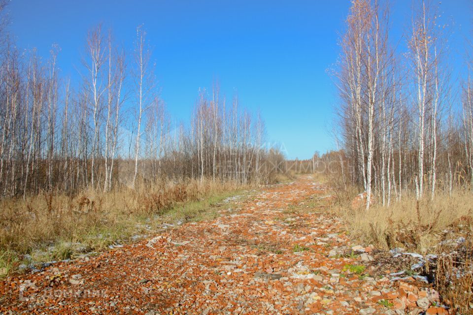 земля р-н Тюменский фото 6