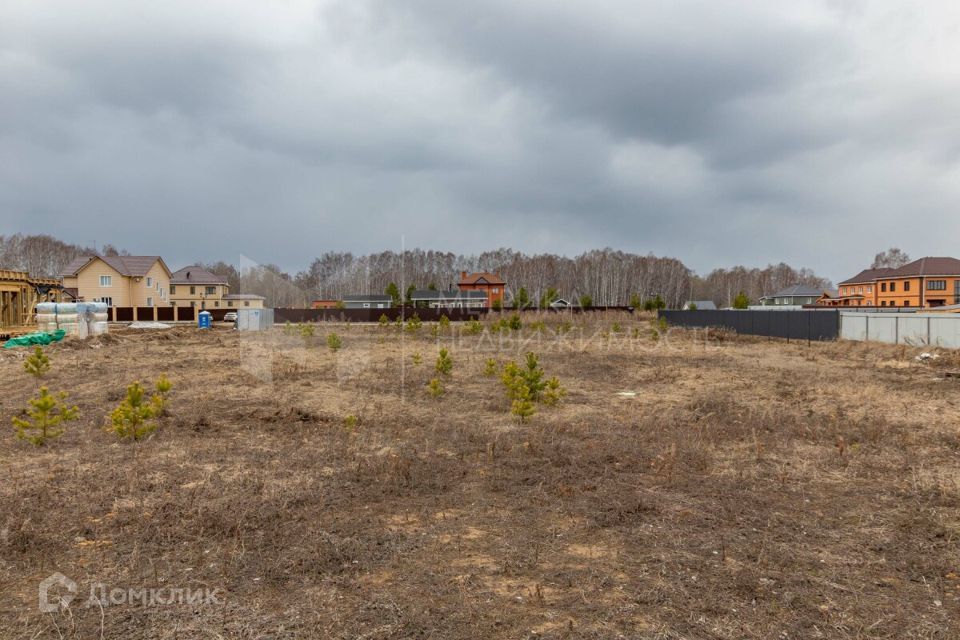 земля р-н Тюменский ДПК Новокаменский, Коттеджный посёлок Новокаменский фото 8