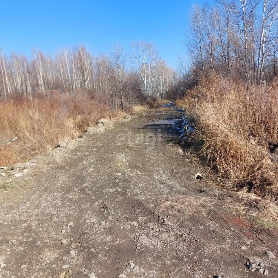 земля г Комсомольск-на-Амуре Пивань ул Лесная 1 сельское поселение Село Пивань, Комсомольский район фото 5