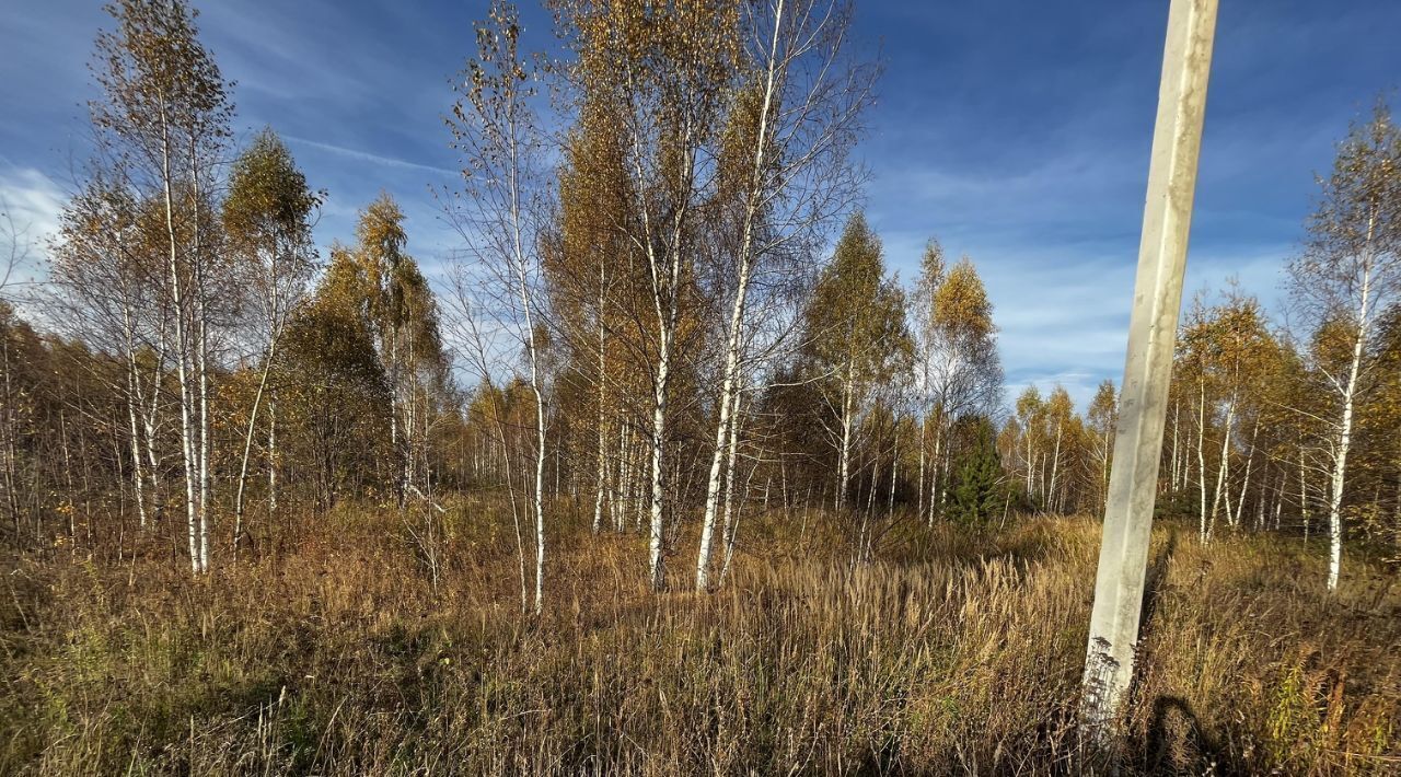 земля р-н Богородский д Килелей ул Клубничная фото 8