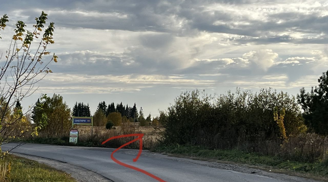 земля р-н Богородский д Килелей ул Клубничная фото 2