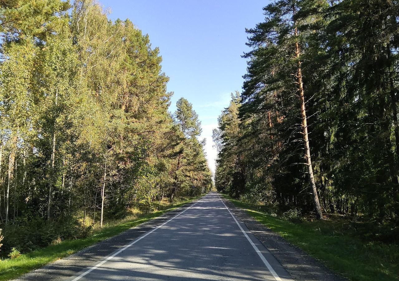 земля городской округ Чехов с Новый Быт 57 км, Чехов, Симферопольское шоссе фото 6