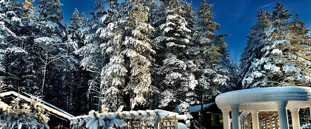 дом городской округ Дмитровский Плес садовое товарищество, 95 фото 25