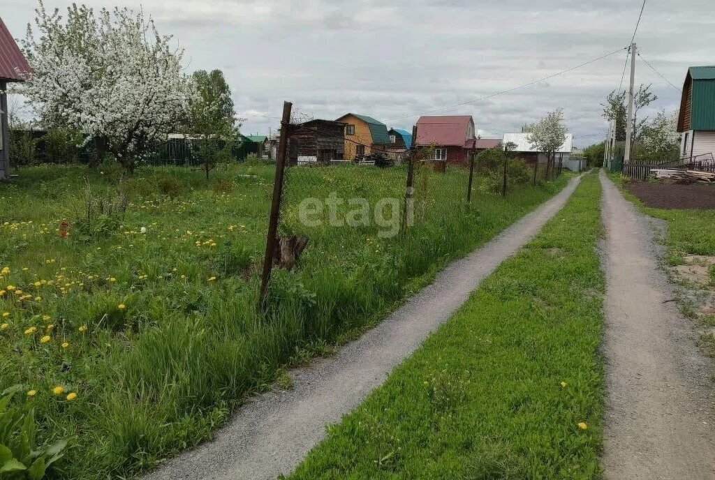 земля р-н Бураевский сельсовет, Кушнаренковский район фото 4