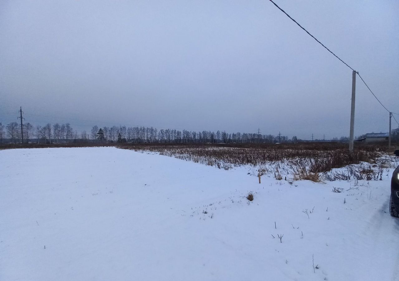 земля городской округ Павловский Посад с Рахманово 50 км, Павловский Посад, Носовихинское шоссе фото 9