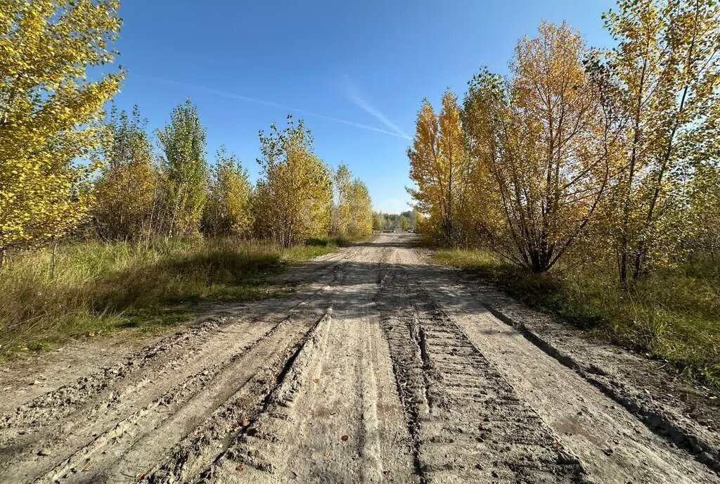 офис г Новосибирск метро Площадь Гарина-Михайловского Омский тракт, 1/2к 1 фото 16