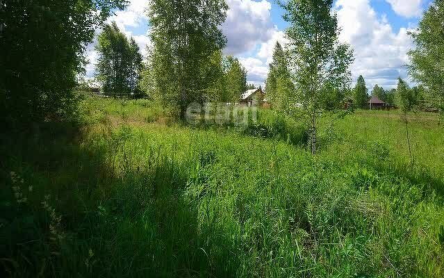 земля г Новосибирск р-н Советский Речной вокзал Академгородок фото 2