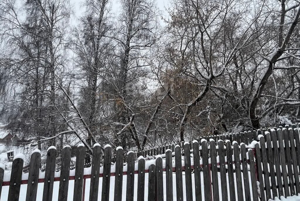 земля р-н Новосибирский с Раздольное Площадь Гарина-Михайловского фото 2