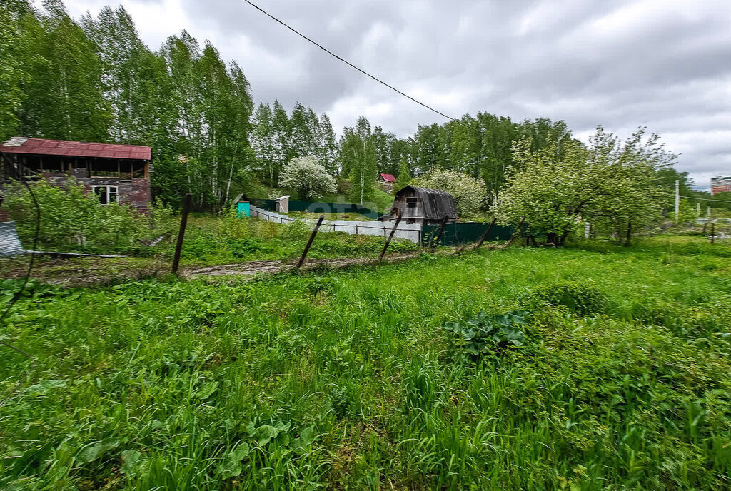 земля г Новосибирск р-н Октябрьский Октябрьская садовое некоммерческое товарищество Почётный ветеран фото 3