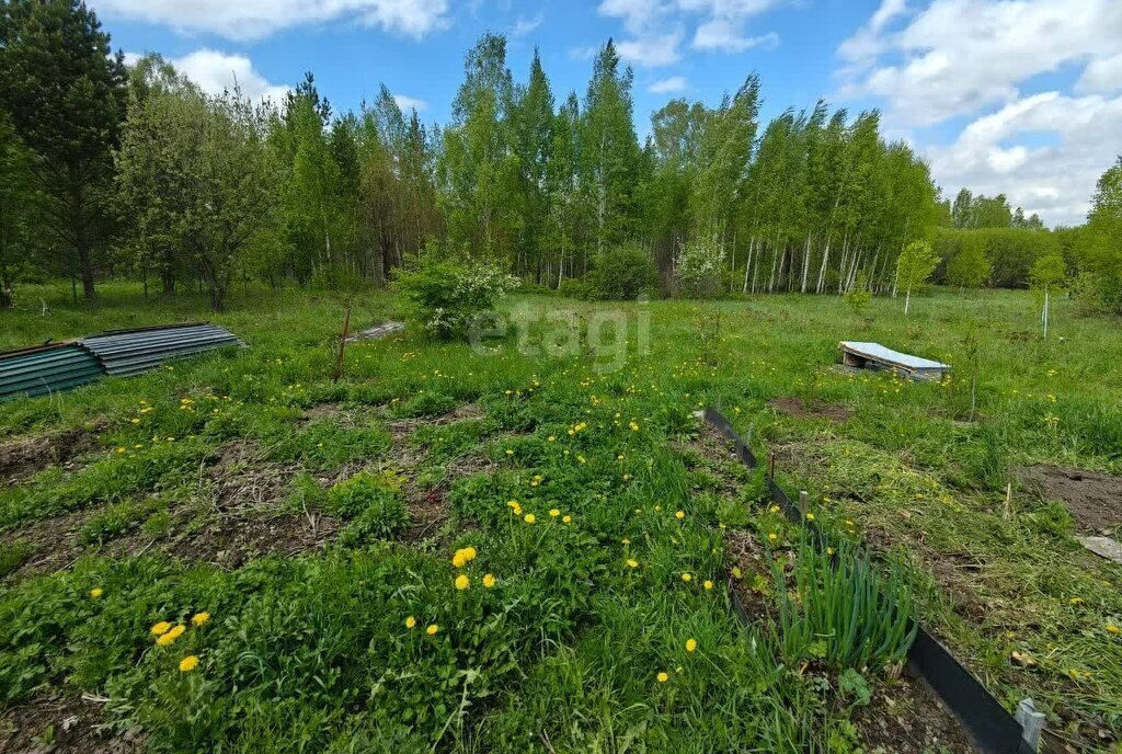 земля р-н Мошковский с Барлак Гагаринская, улица Заячий Хутор фото 4