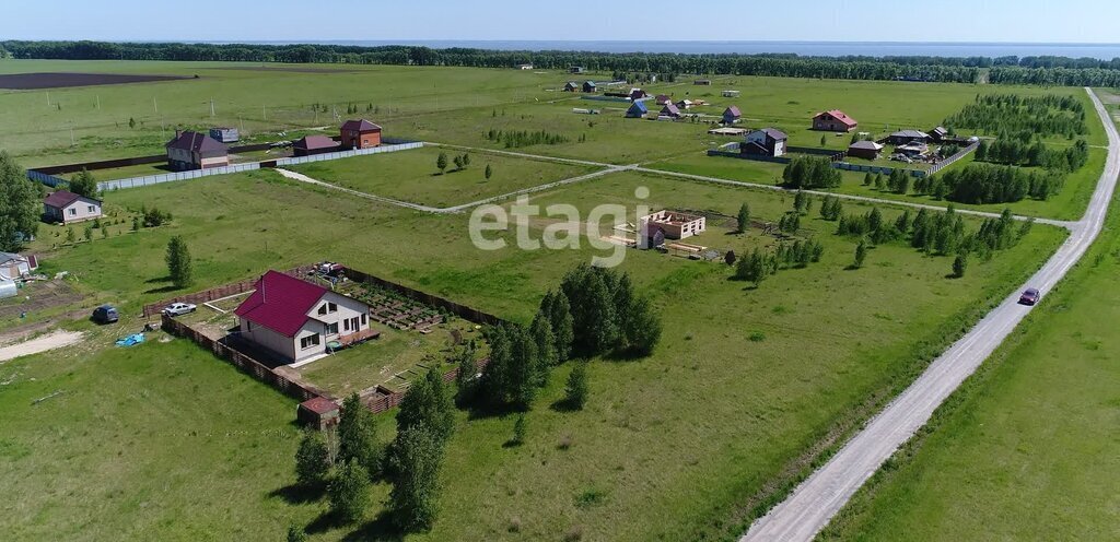 земля р-н Новосибирский с Ленинское тер Поселок Новониколаевский ДНТ фото 2