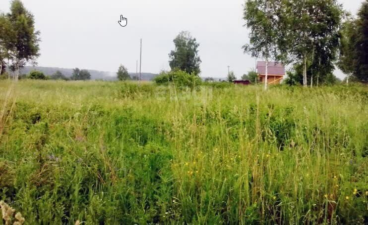 земля р-н Новосибирский дп Кудряшовский сельсовет, ДНТ Тихие зори фото 2