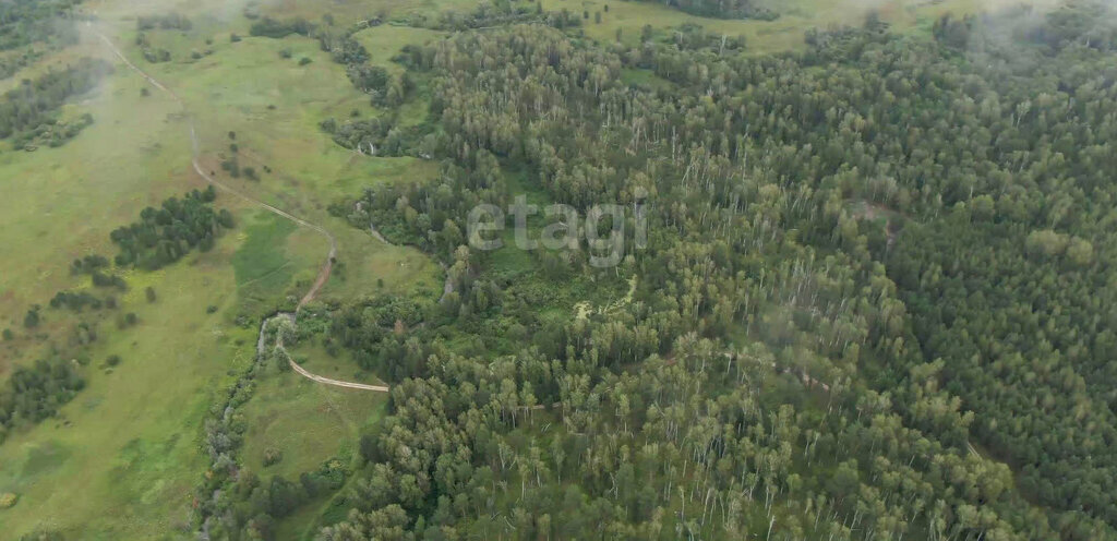 земля р-н Мошковский с Сокур Гагаринская фото 4