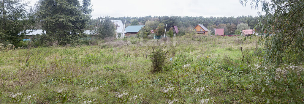 земля р-н Новосибирский п Приобский сельсовет, Кудряшовский, Площадь Гарина-Михайловского фото 2