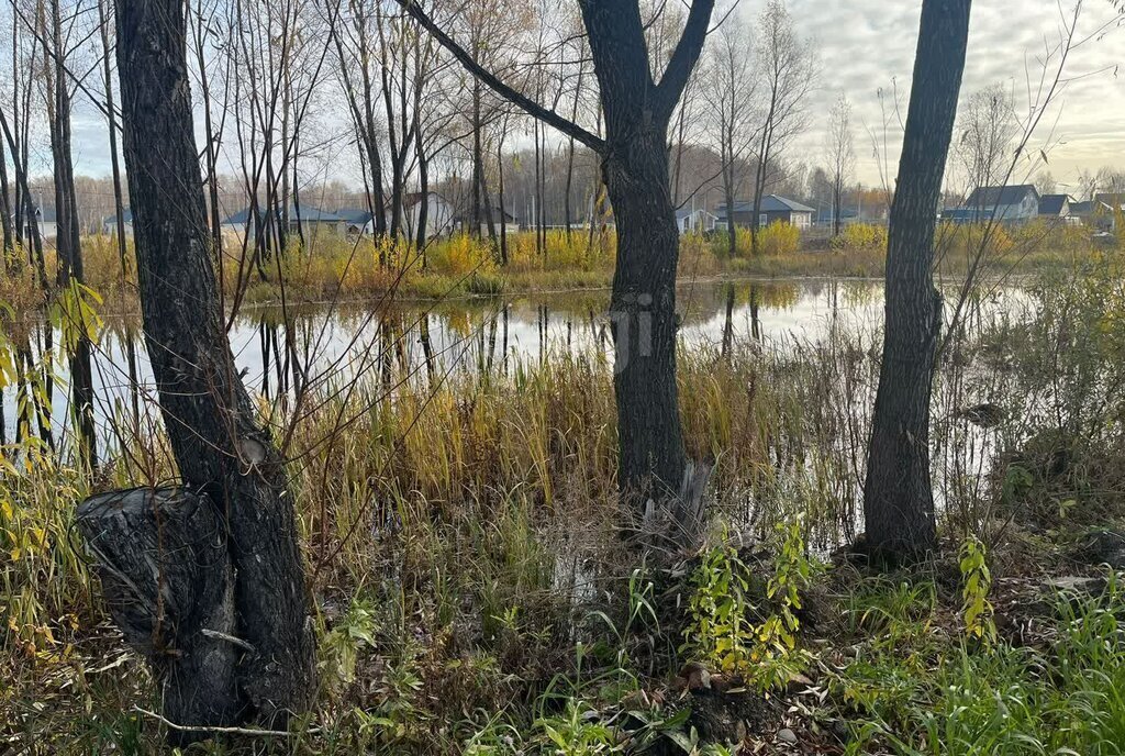 дом р-н Новосибирский с Марусино Площадь Маркса, Криводановский сельсовет фото 18