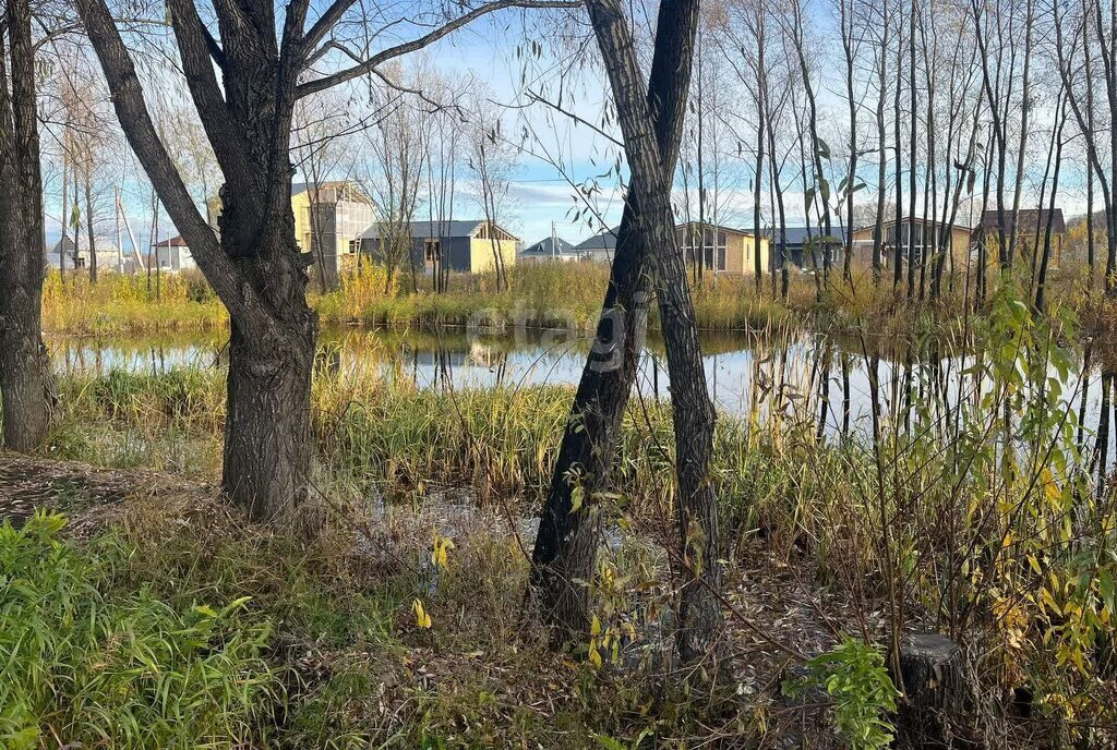 дом р-н Новосибирский с Марусино Площадь Маркса, Криводановский сельсовет фото 19