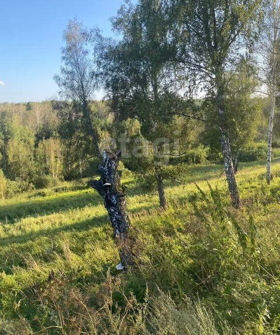 земля р-н Новосибирский днп тер.Лазурный берег Барышевский сельсовет фото 7