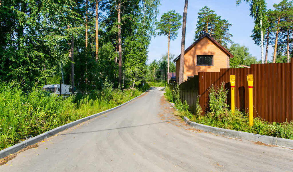 земля г Новосибирск р-н Заельцовский Заельцовская ш Лесное фото 29