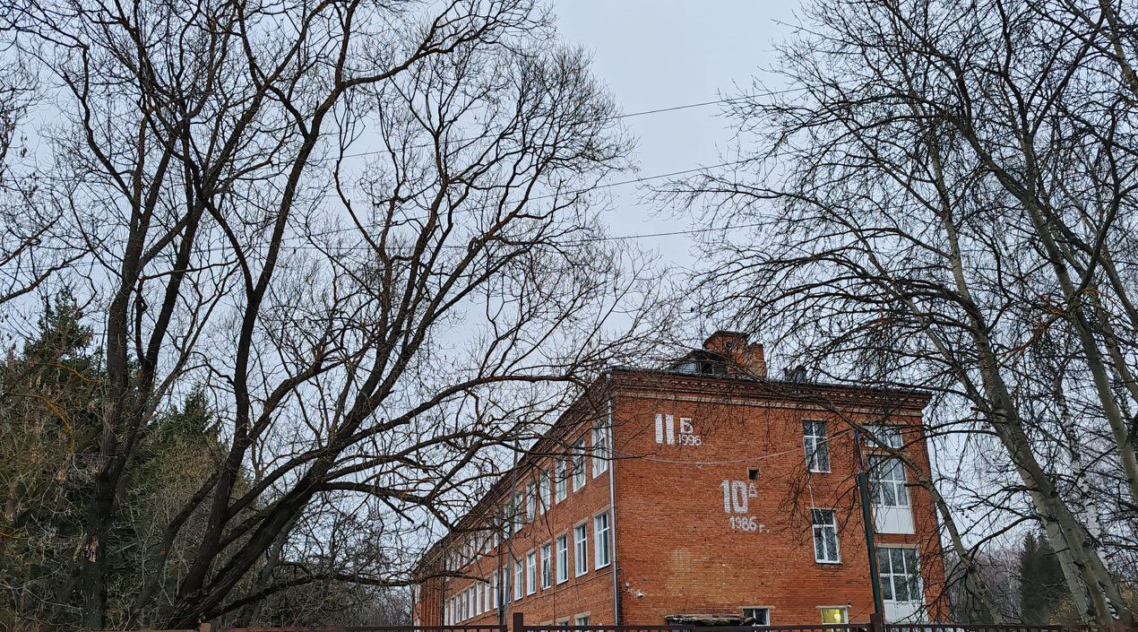 квартира городской округ Чехов с Троицкое 37 фото 10